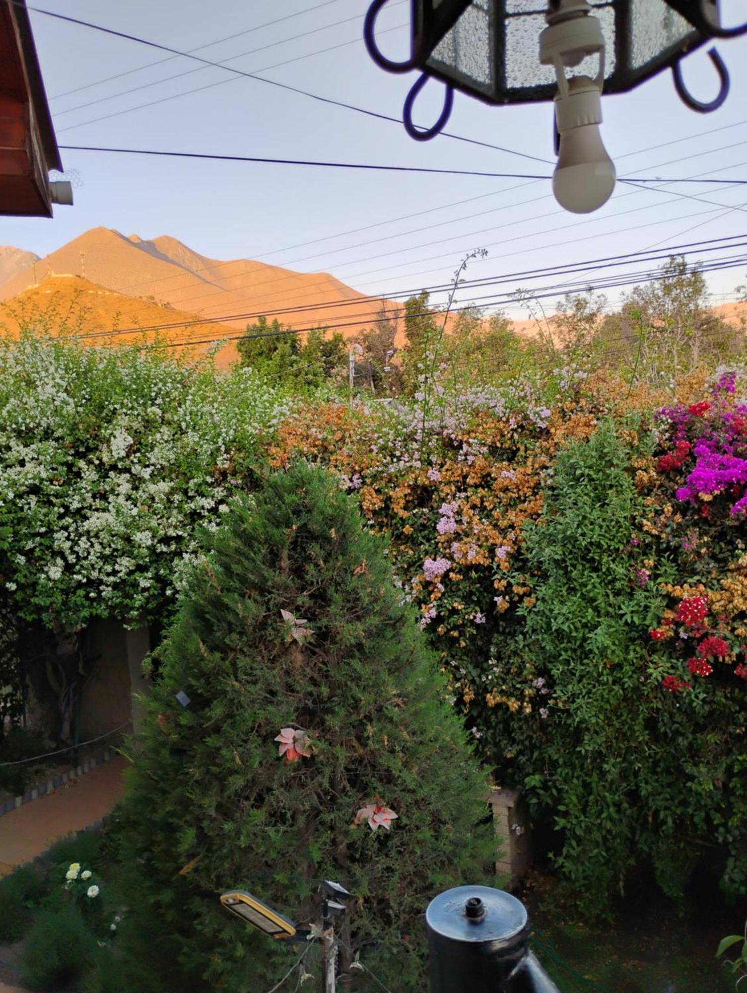 Hostal Donde Rita Vicuna Bagian luar foto